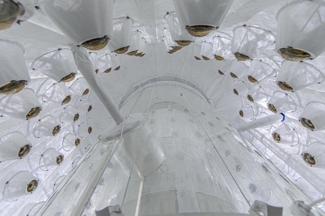 Researchers mark successful startup of LUX-ZEPLIN dark matter